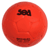 BALLON SCHOOL COMPOSITE