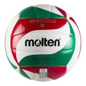 Ballon de Volley Ball MOLTEN 2501-L