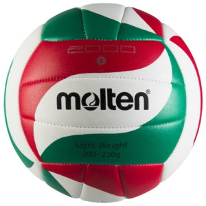 Ballon de Volley Ball MOLTEN 2000-L